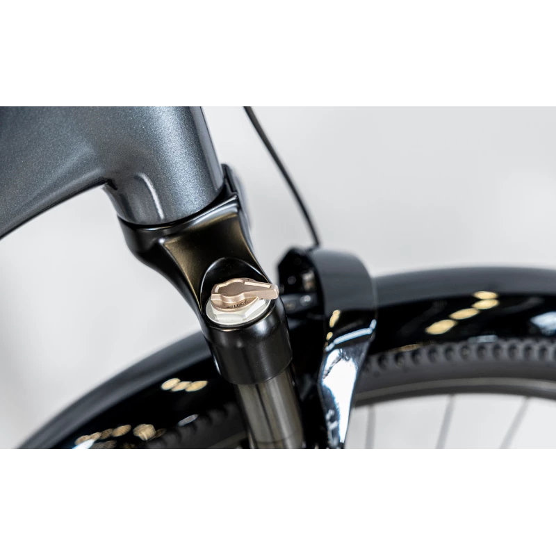 Trek ALLANT+ 6 LOWSTEP 725WH 2023 – Image 3