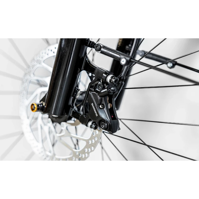 Trek ALLANT+ 6 LOWSTEP 725WH 2023 – Image 4