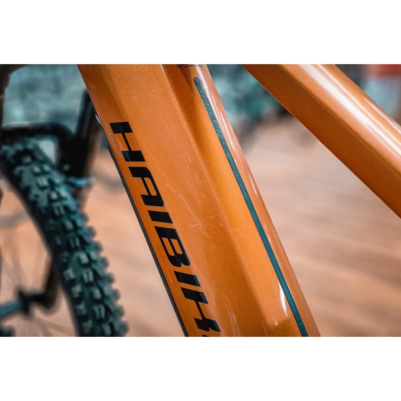 Haibike ALLMTN CF6 2022 Reconditionné T.M – Image 6