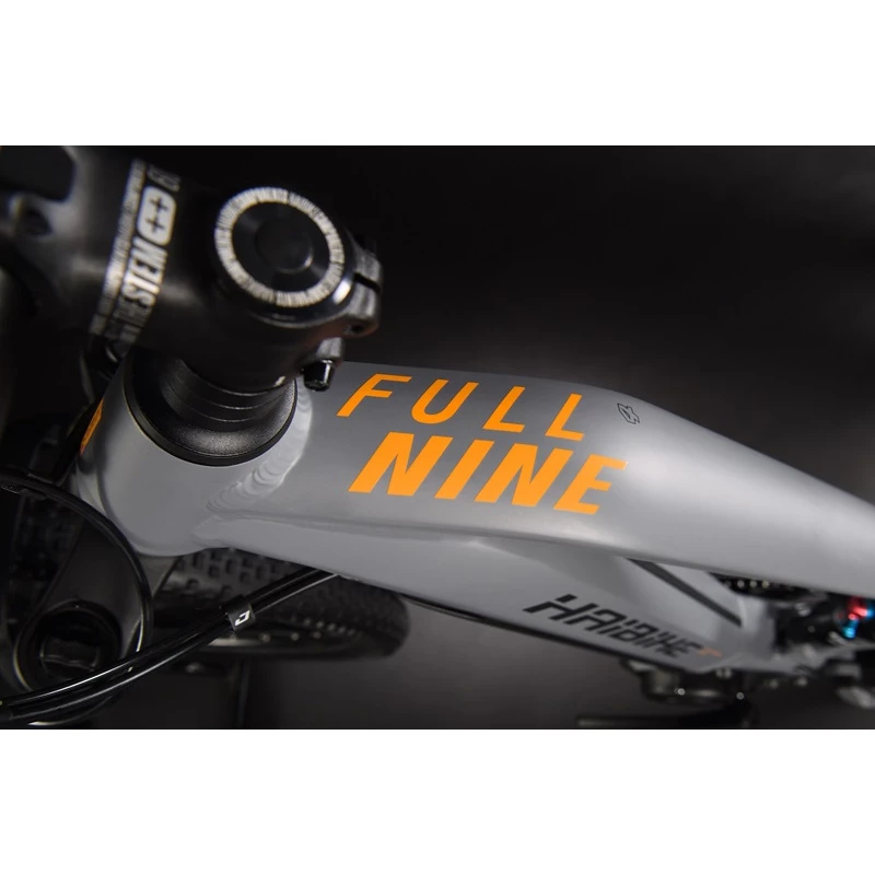 Haibike Fullnine 4 2021 – Image 4