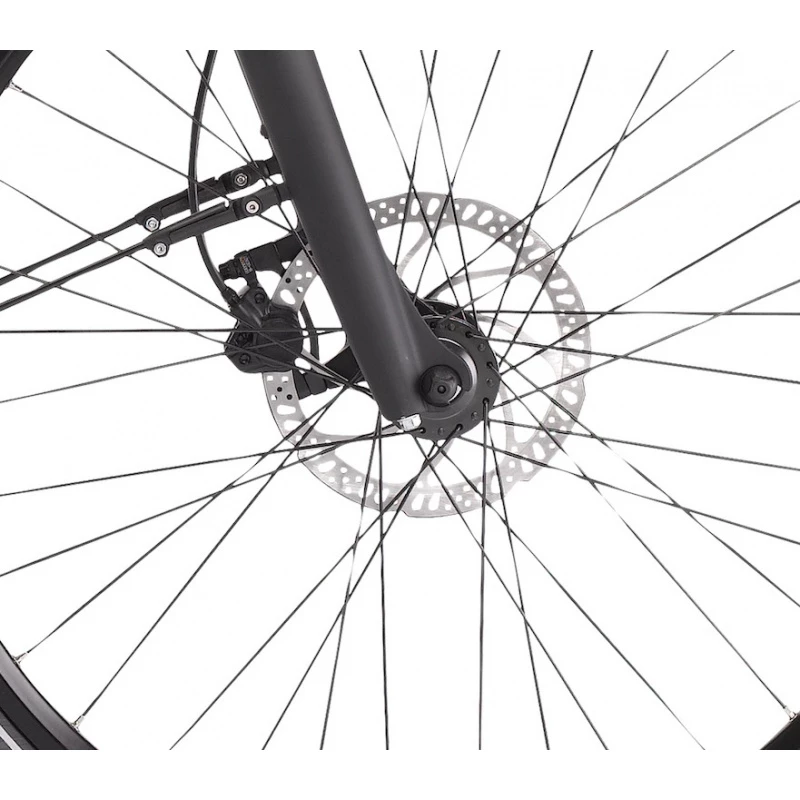 Winora Sinus 9 625WH 2022 – Image 3