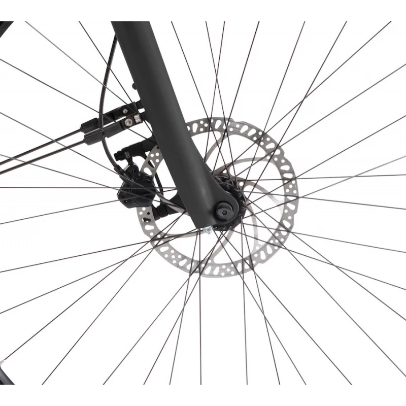 Winora TRIA 10 MONO 2022 – Image 2